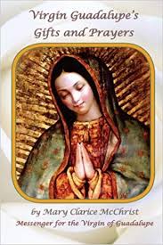 Virgin Guadalupes Gifts and Prayers 183x275